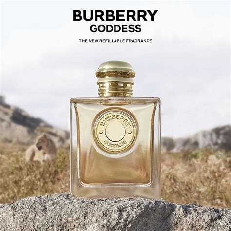 burberry perfume fruity|fragrantica burberry goddess.